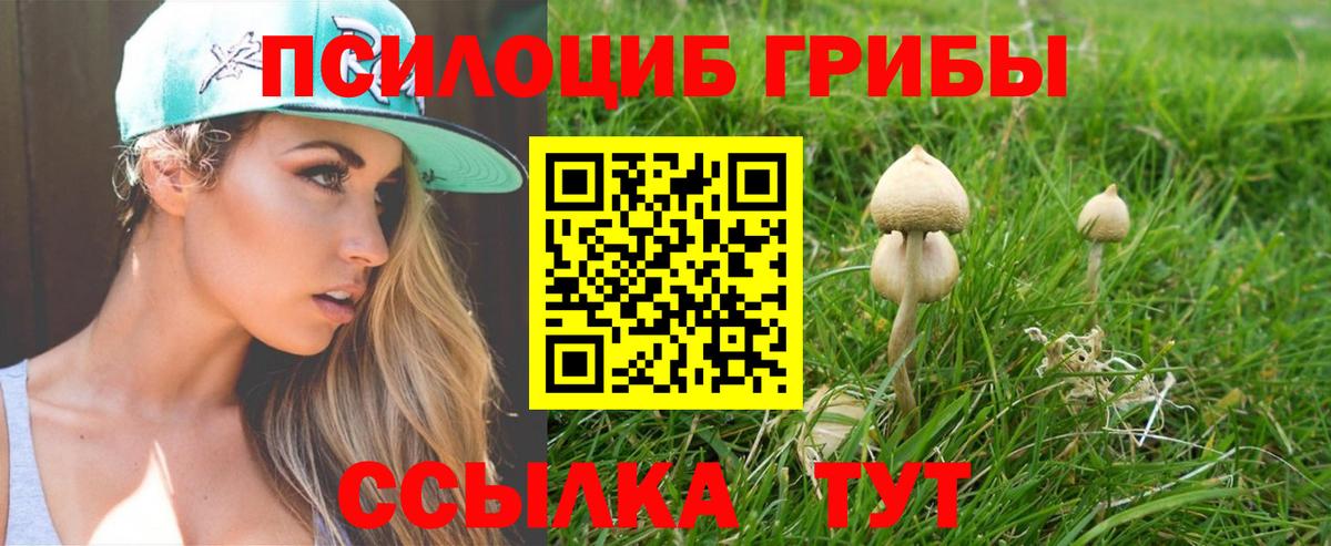 Псилоцибиновые грибы Cubensis  Вход с VPN  даркнет сайт  Сафоново 